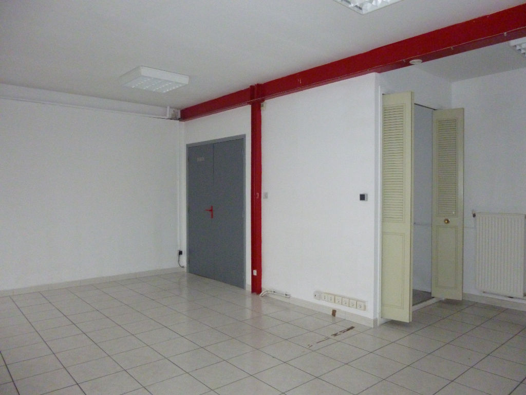 Photo Bureaux avec partie stockage - La Salvetat Saint Gilles 360 m2 image 3/6