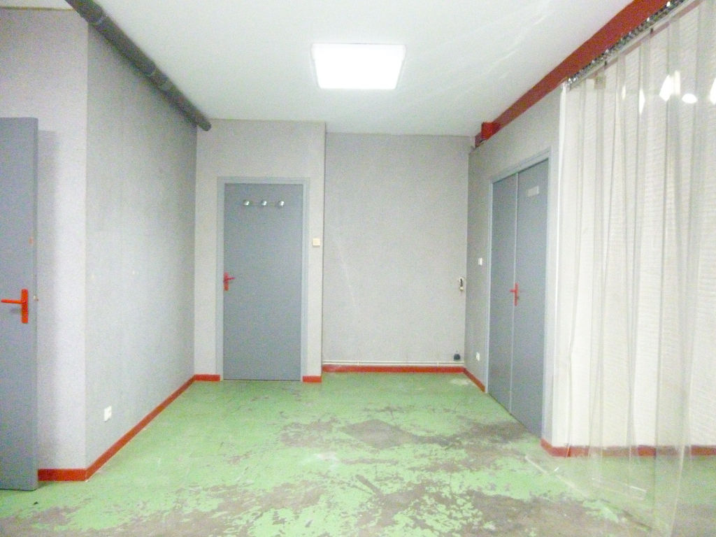 Photo Bureaux avec partie stockage - La Salvetat Saint Gilles 360 m2 image 6/6