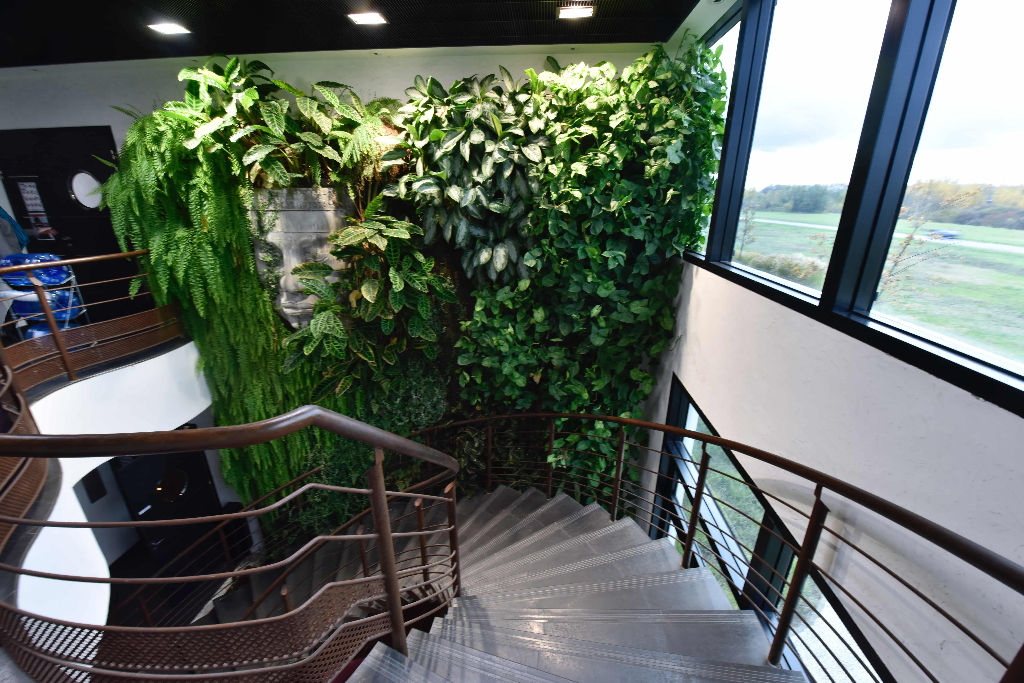 Photo Bureaux Labege 31.17 m2 image 5/6