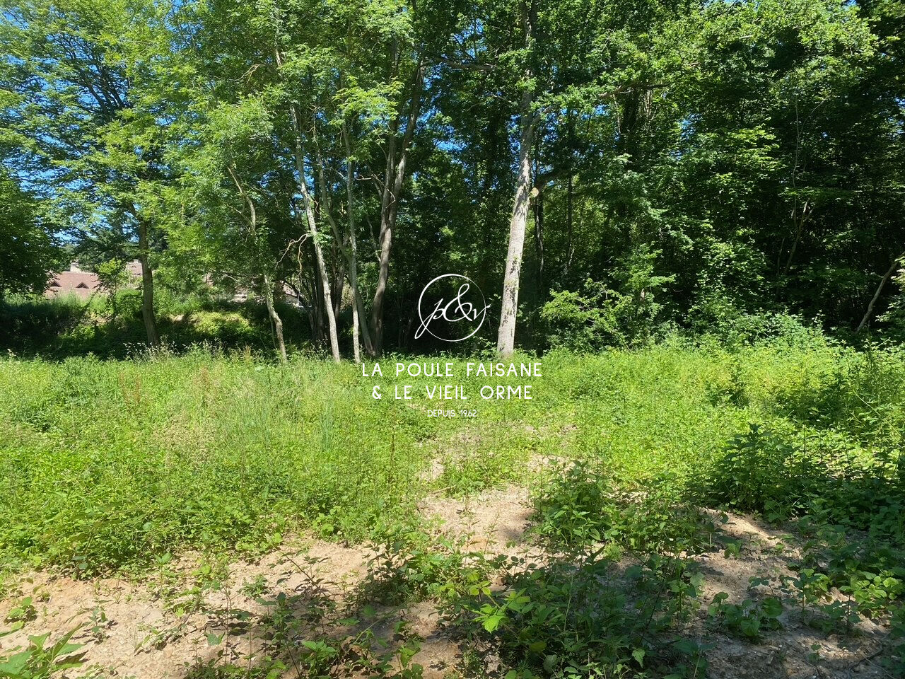 VENTE TERRAIN CONSTRUCTIBLE PROCHE RAMBOUILLET