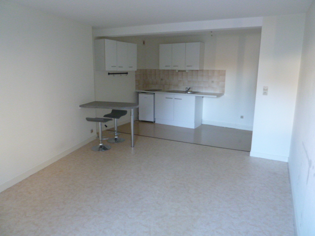 Photo CHATEAU-GONTIER Faubourg - Appartement T2 image 1/6