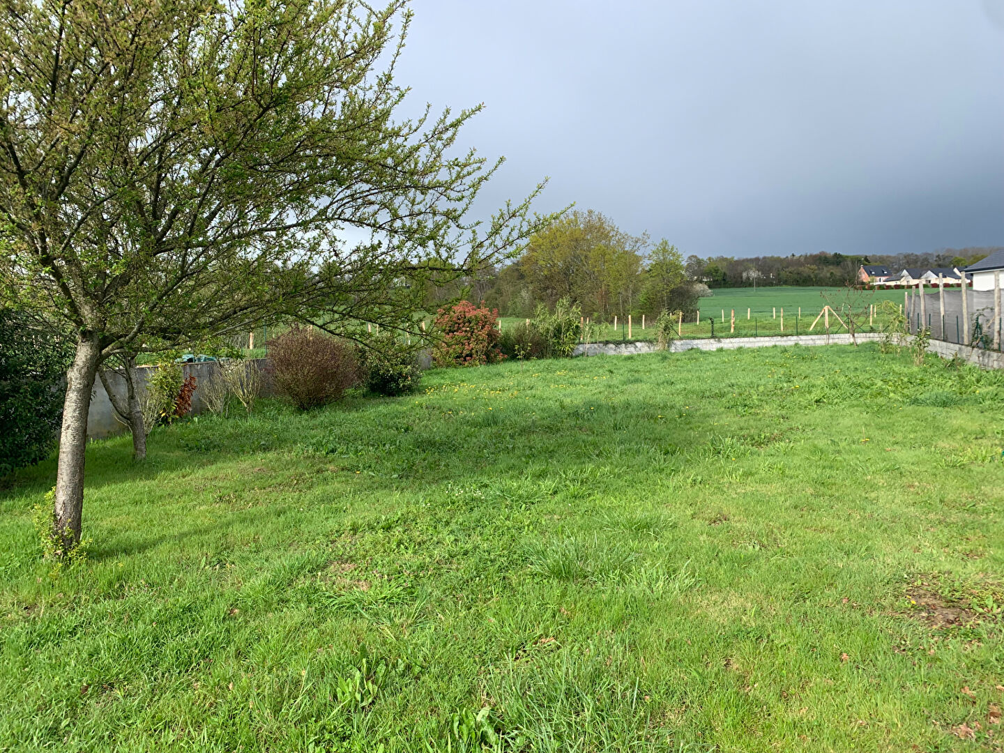 Photo CHAMPIGNE image 1/3