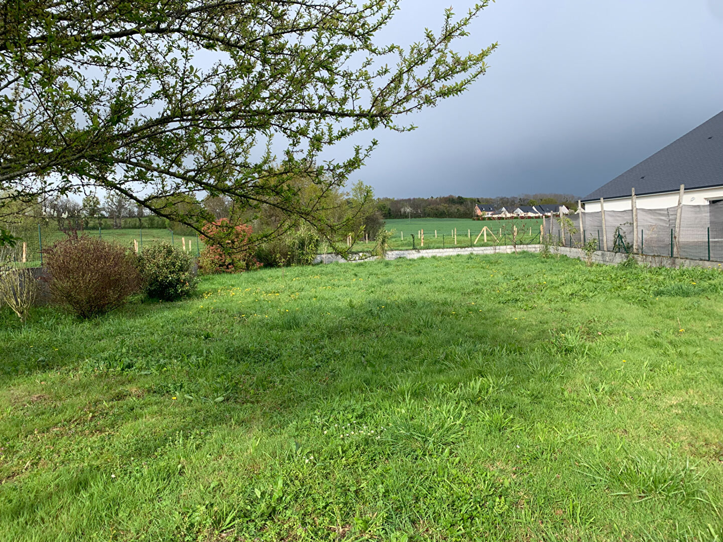 Photo CHAMPIGNE image 2/3