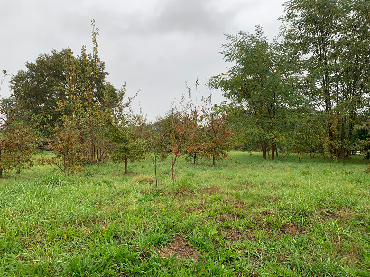 Photo ETRICHE image 2/3