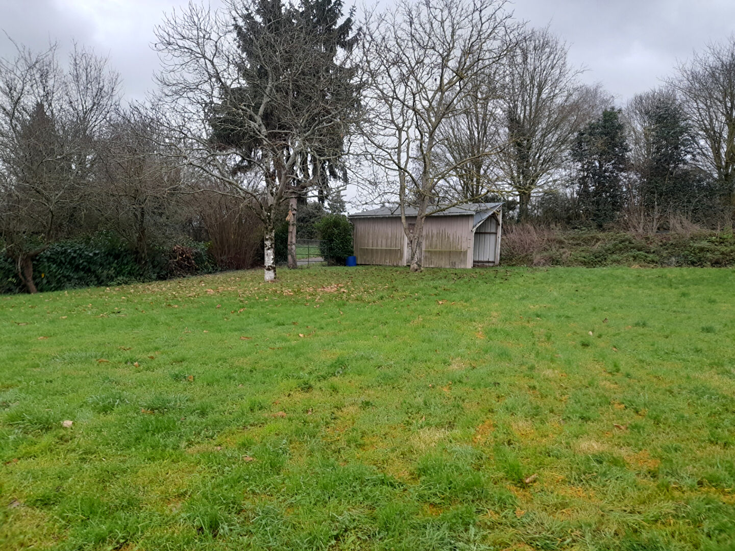 Photo TERRAIN VIABILISE  CH GONTIER image 1/1