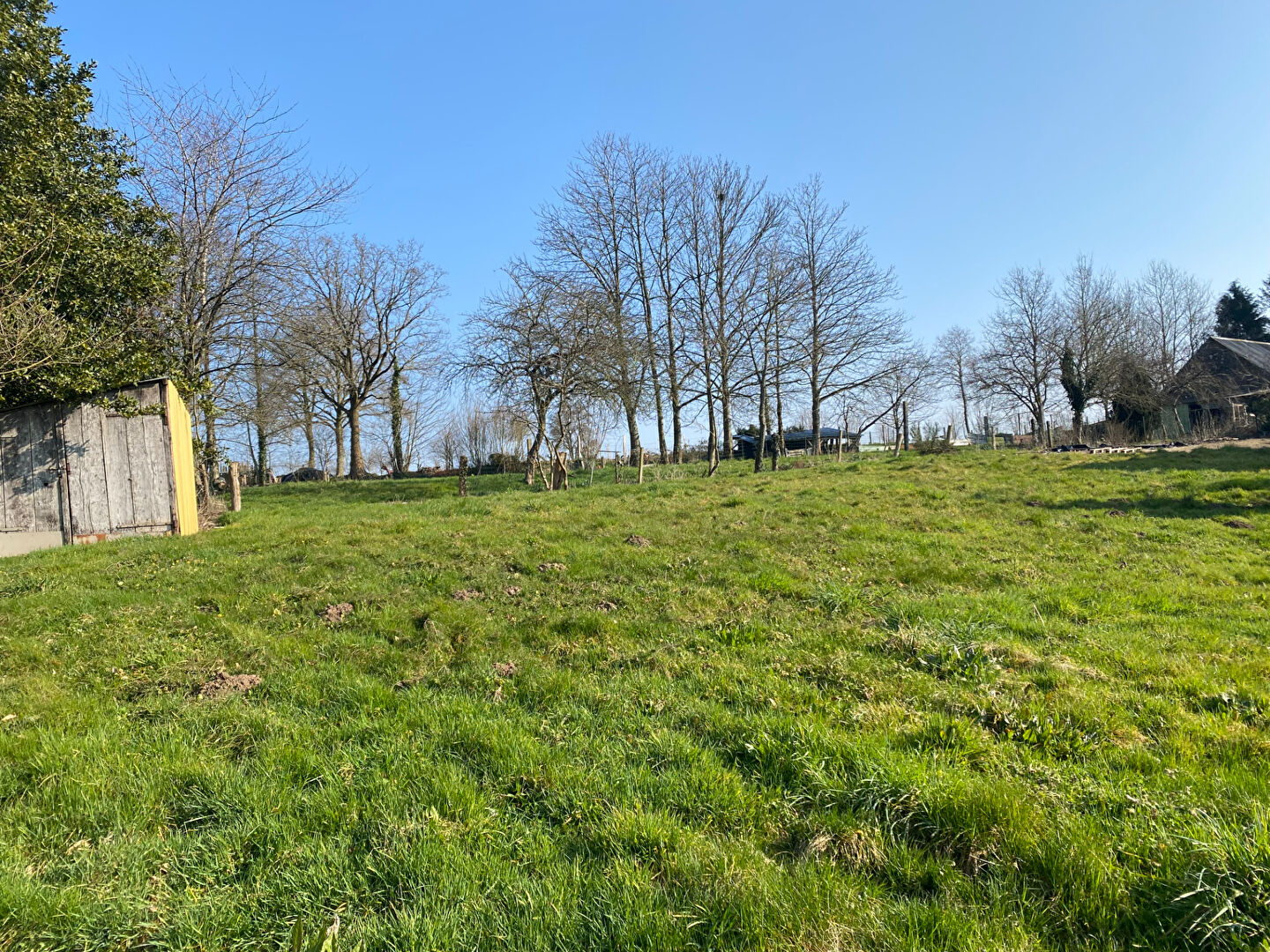 Photo Maison SAINT-DENIS-DE-GASTINES image 2/6