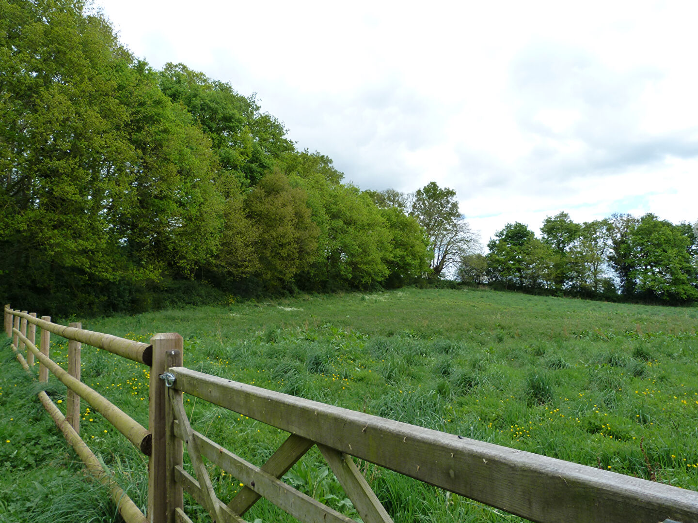 Photo CRAON -  ancien moulin, deux autres maisons , 4 ha de  pré et bois. image 6/6