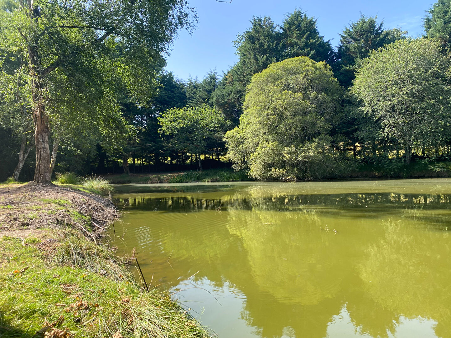 LARCHAMP - Terrain avec étang - 5975 m2