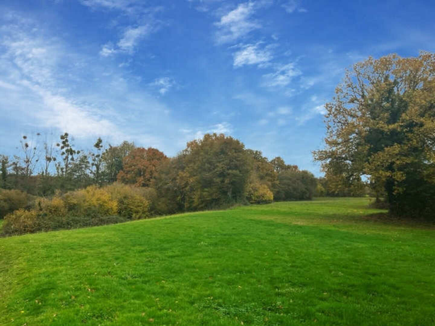Photo Longère familiale 4 chambres CHAILLAND image 6/6
