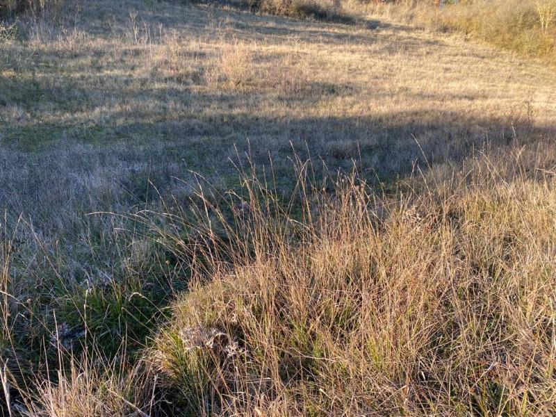 NOGENT LE ROI 5 MIN. - TERRAINS A BATIR