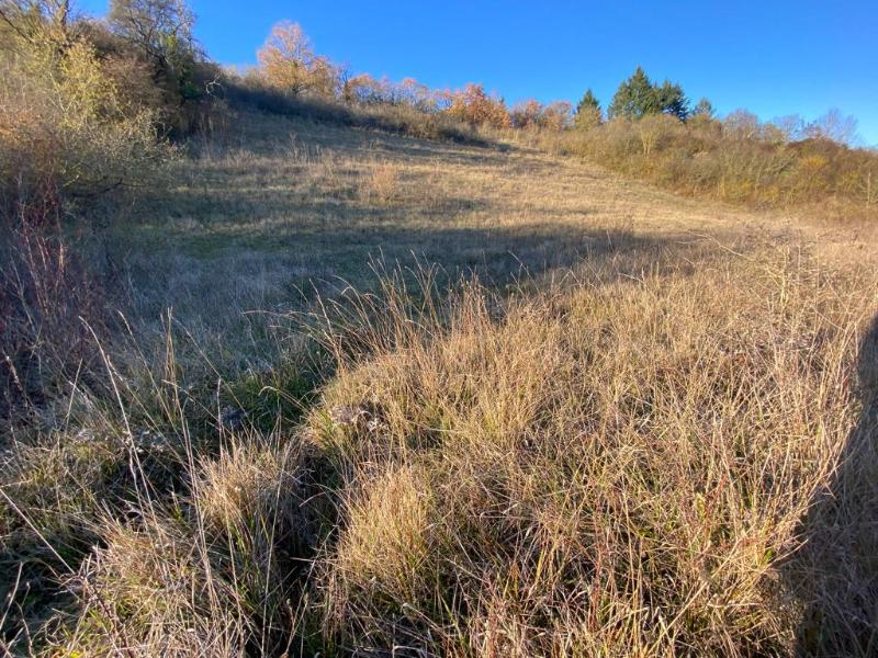 Photo NOGENT LE ROI 5 MIN. - TERRAINS A BATIR image 3/3