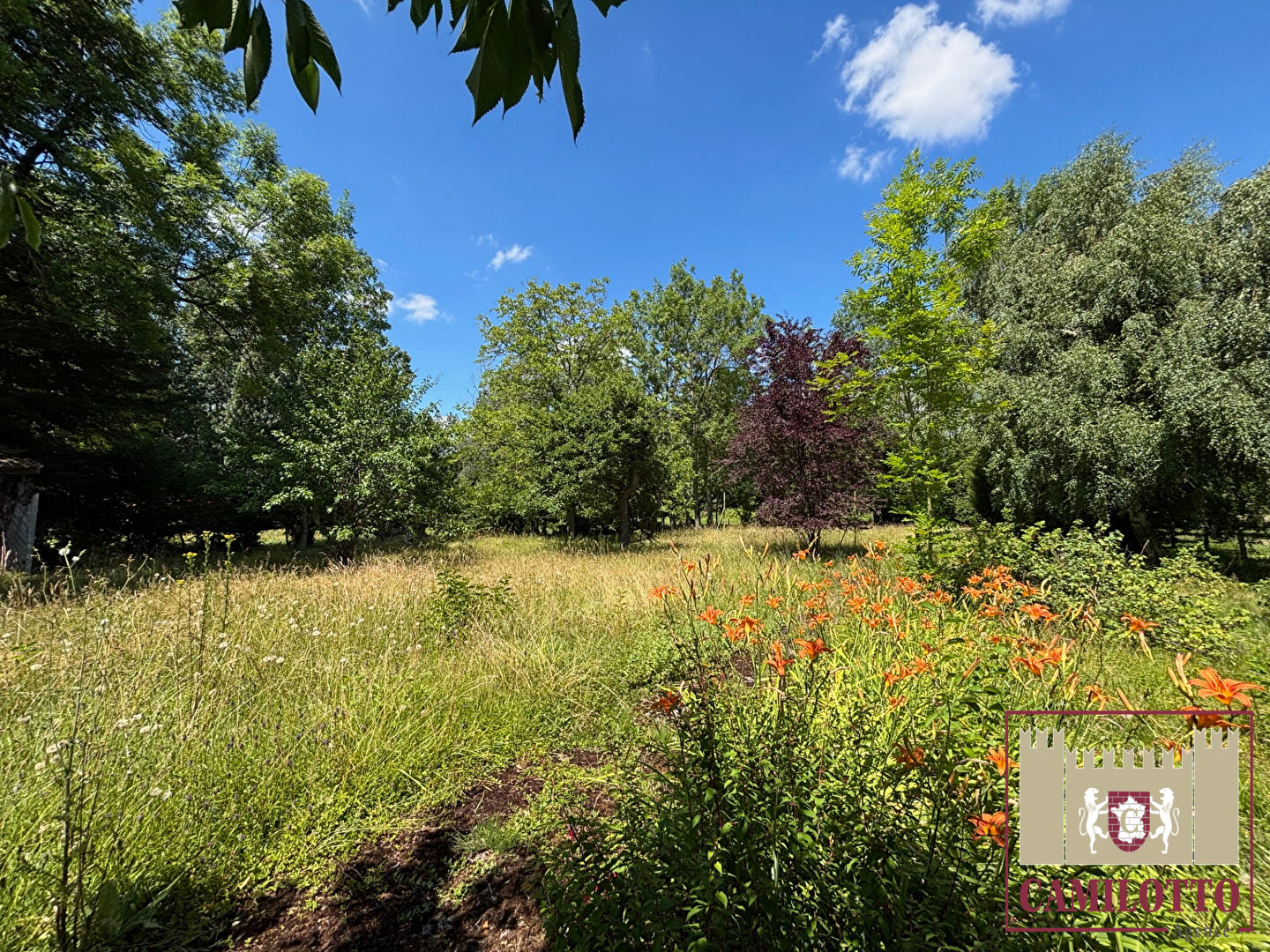 Photo PROCHE NOGENT LE ROI - MAISON ANCIENNE image 2/6