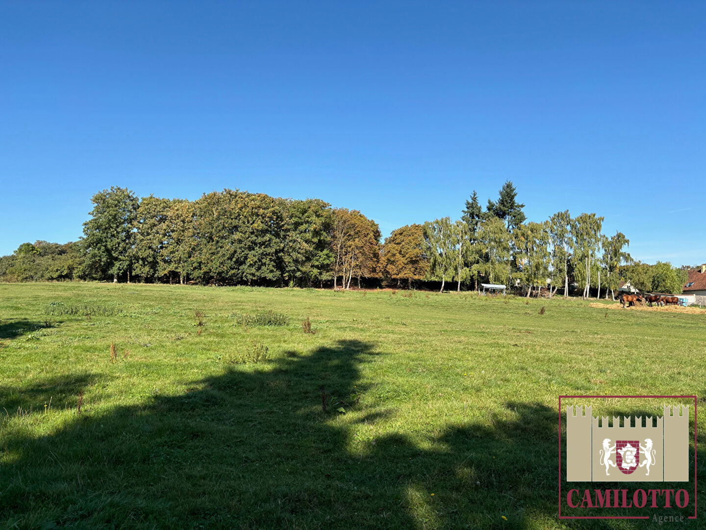 Photo Terrain Proche de Nogent le Roi -  664 m2 image 2/4