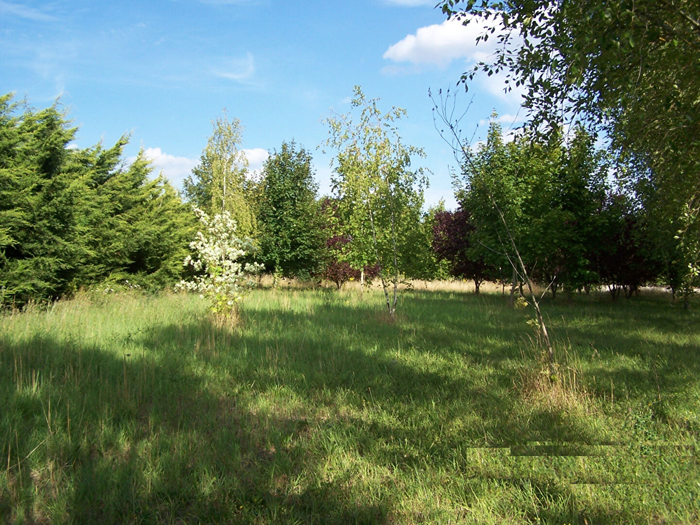 Photo EPERNON PROCHE  - TERRAIN A BÂTIR - 2900 M² image 1/3