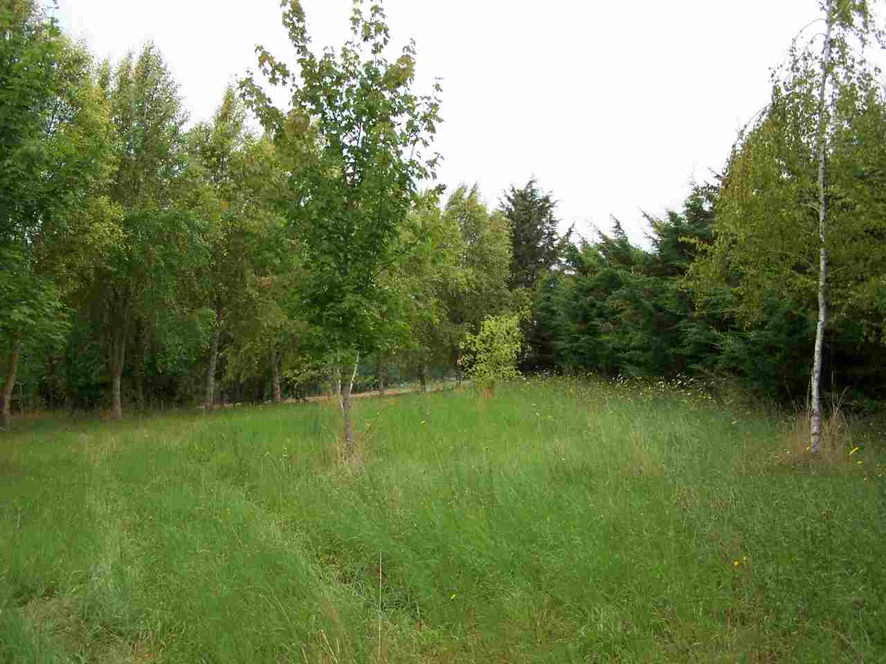 Photo EPERNON PROCHE  - TERRAIN A BÂTIR - 2900 M² image 2/3