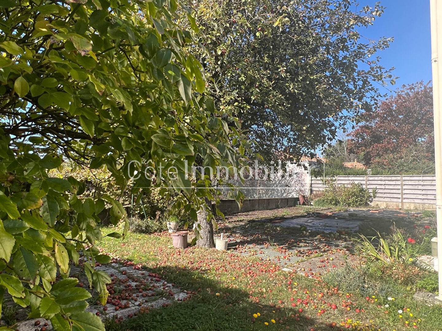 Photo PORNIC - CENTRE VILLE image 2/6