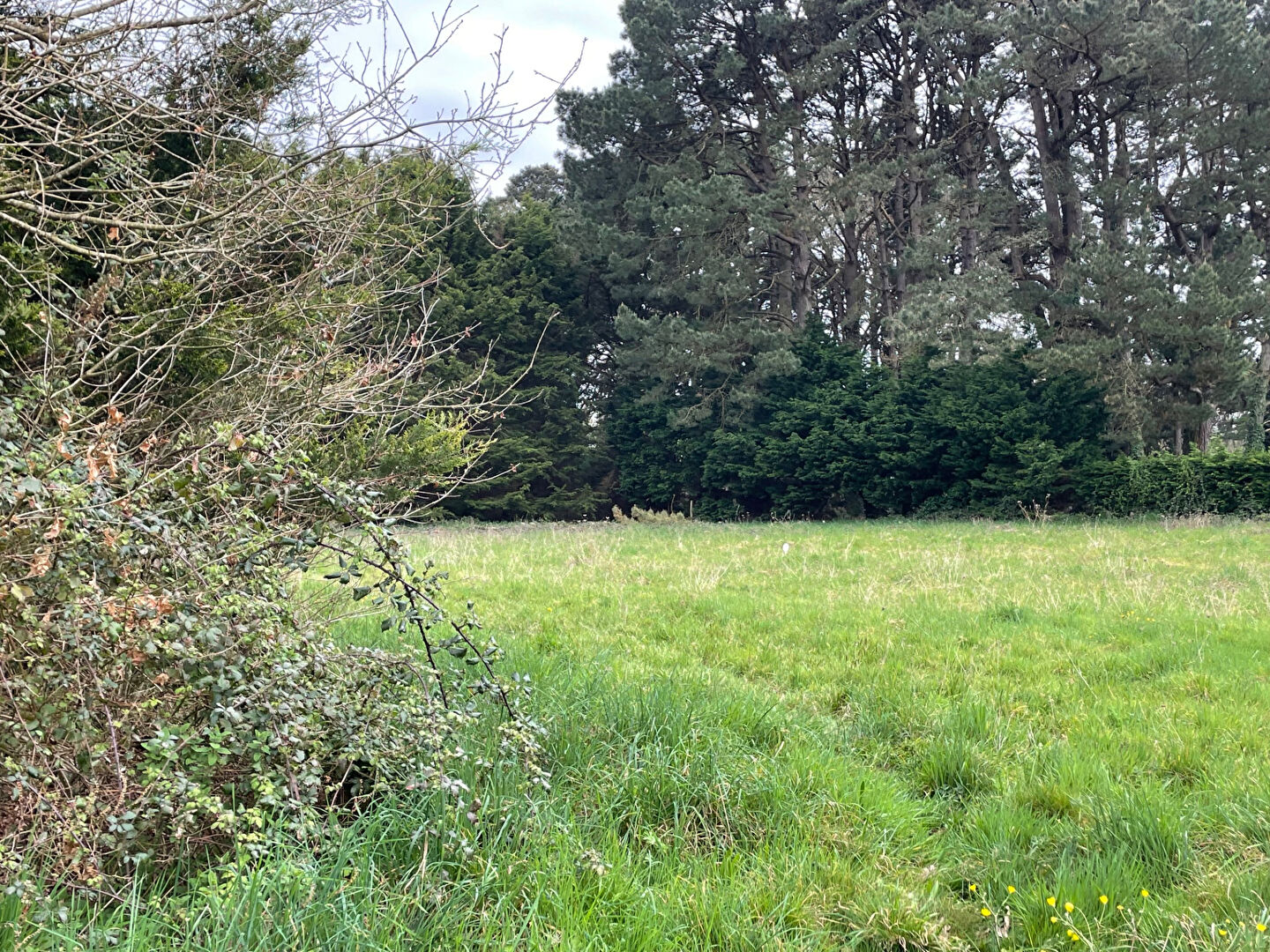 Agence immobilière de AGENCE DU BRIVET
