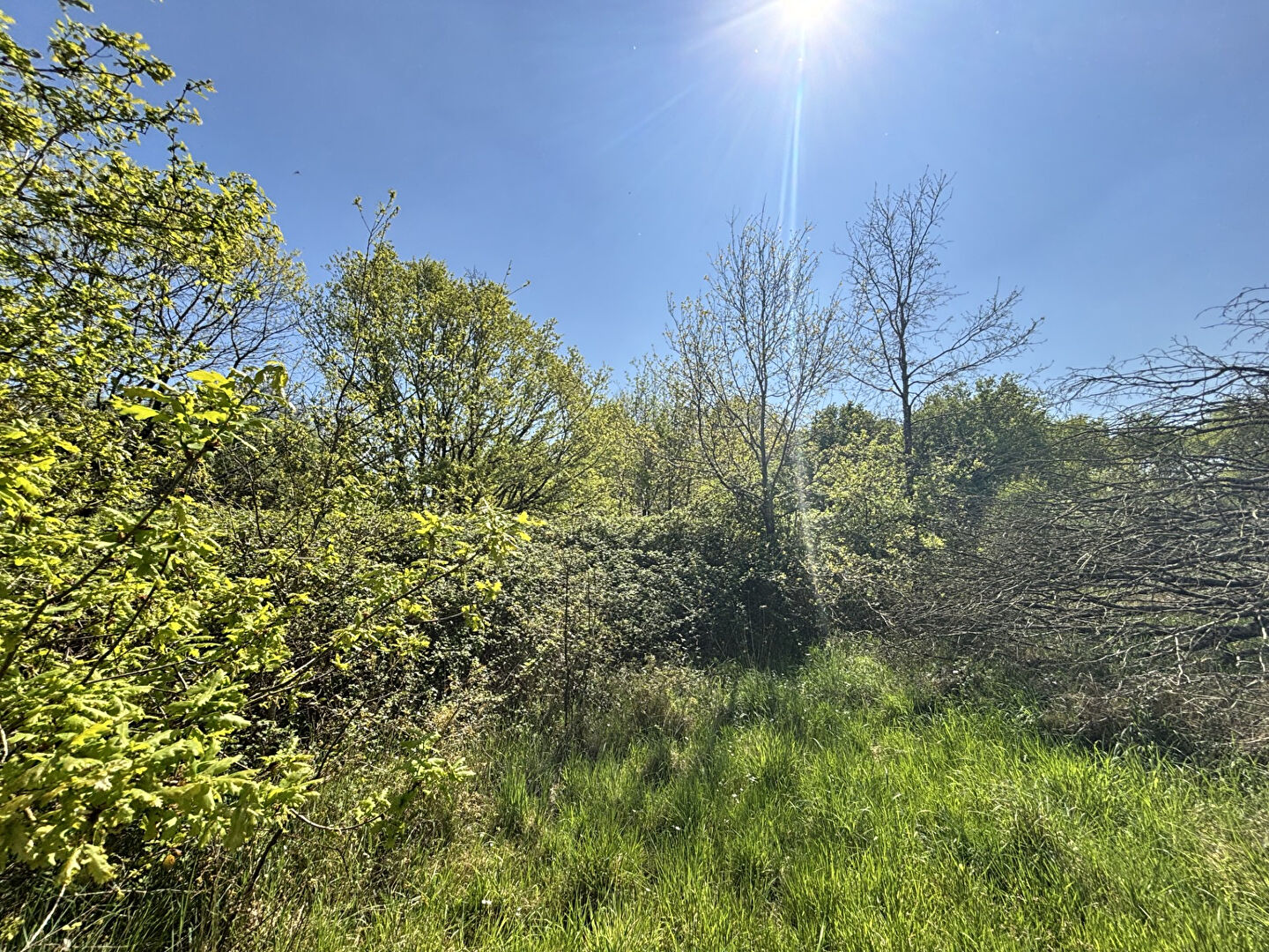 Terrain Basse Goulaine