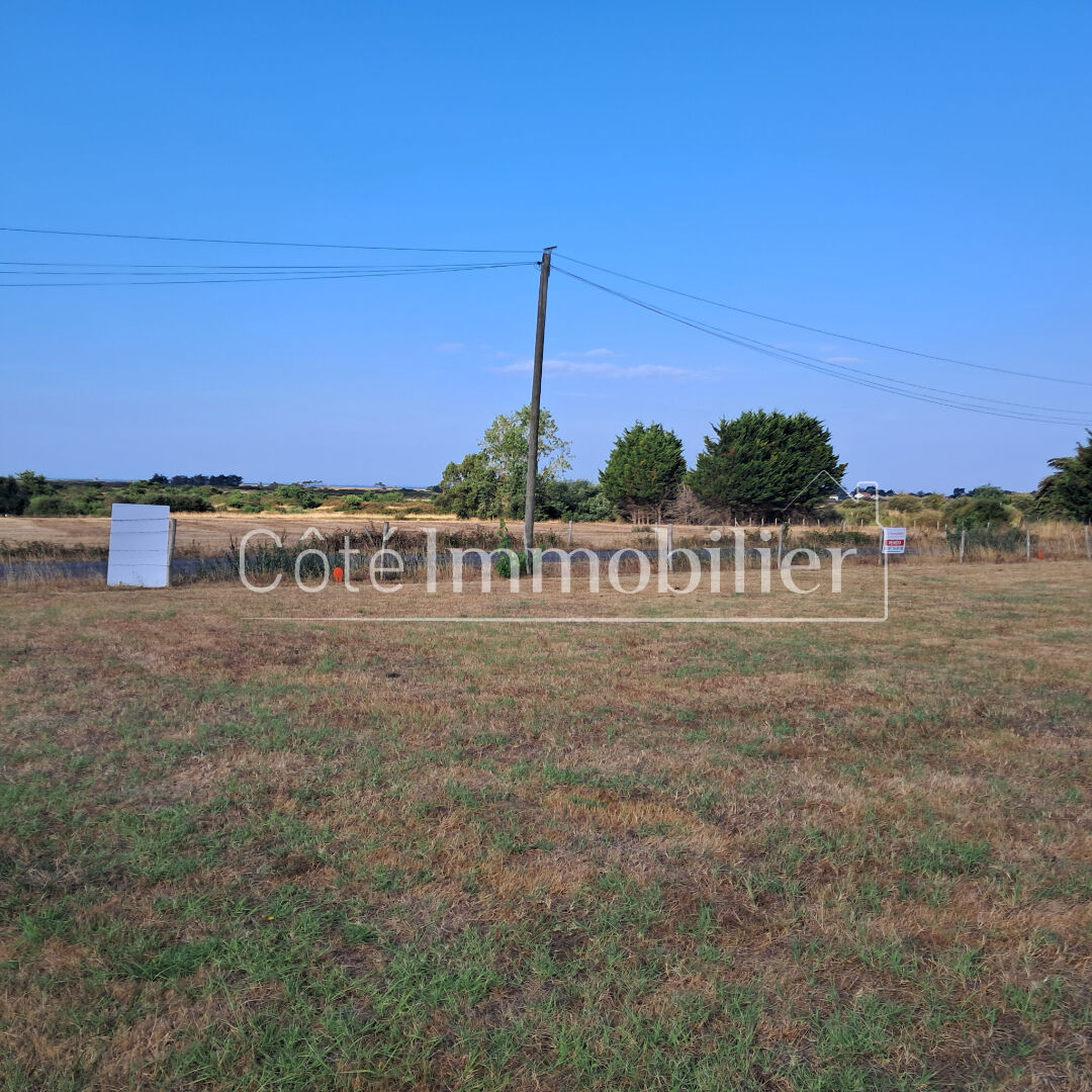 TERRAIN LES MOUTIERS EN RETZ