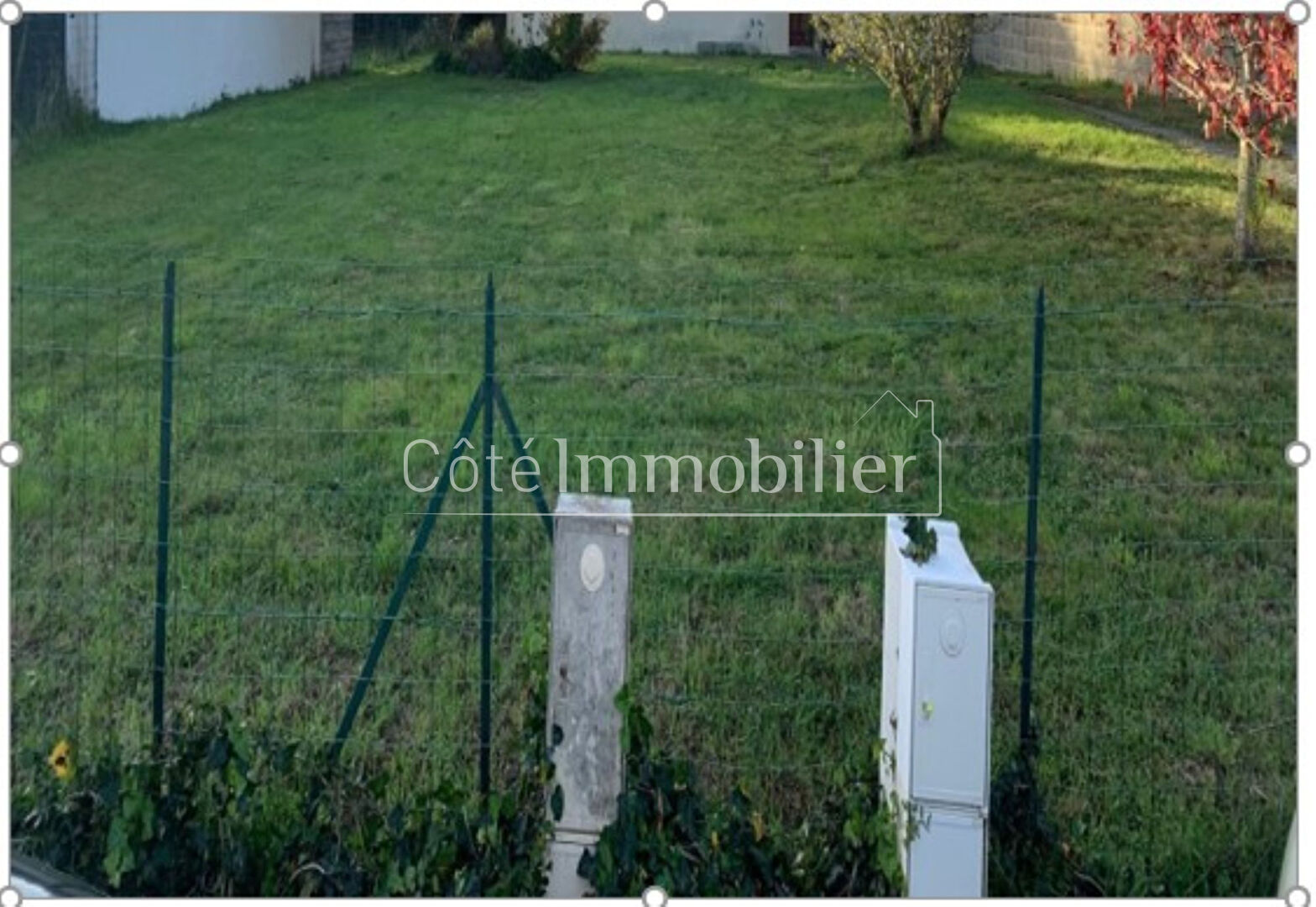 Photo VILLENEUVE EN RETZ - BOURGNEUF EN RETZ image 3/5