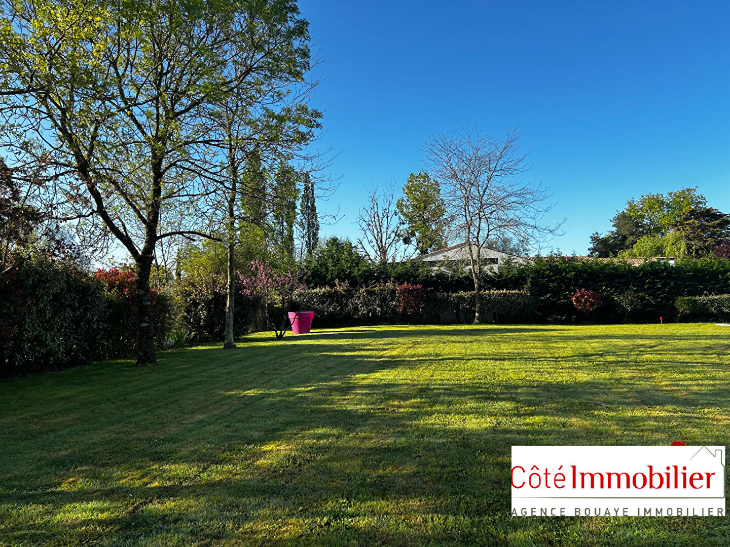 Agence immobilière de Côté Immobilier Bouaye