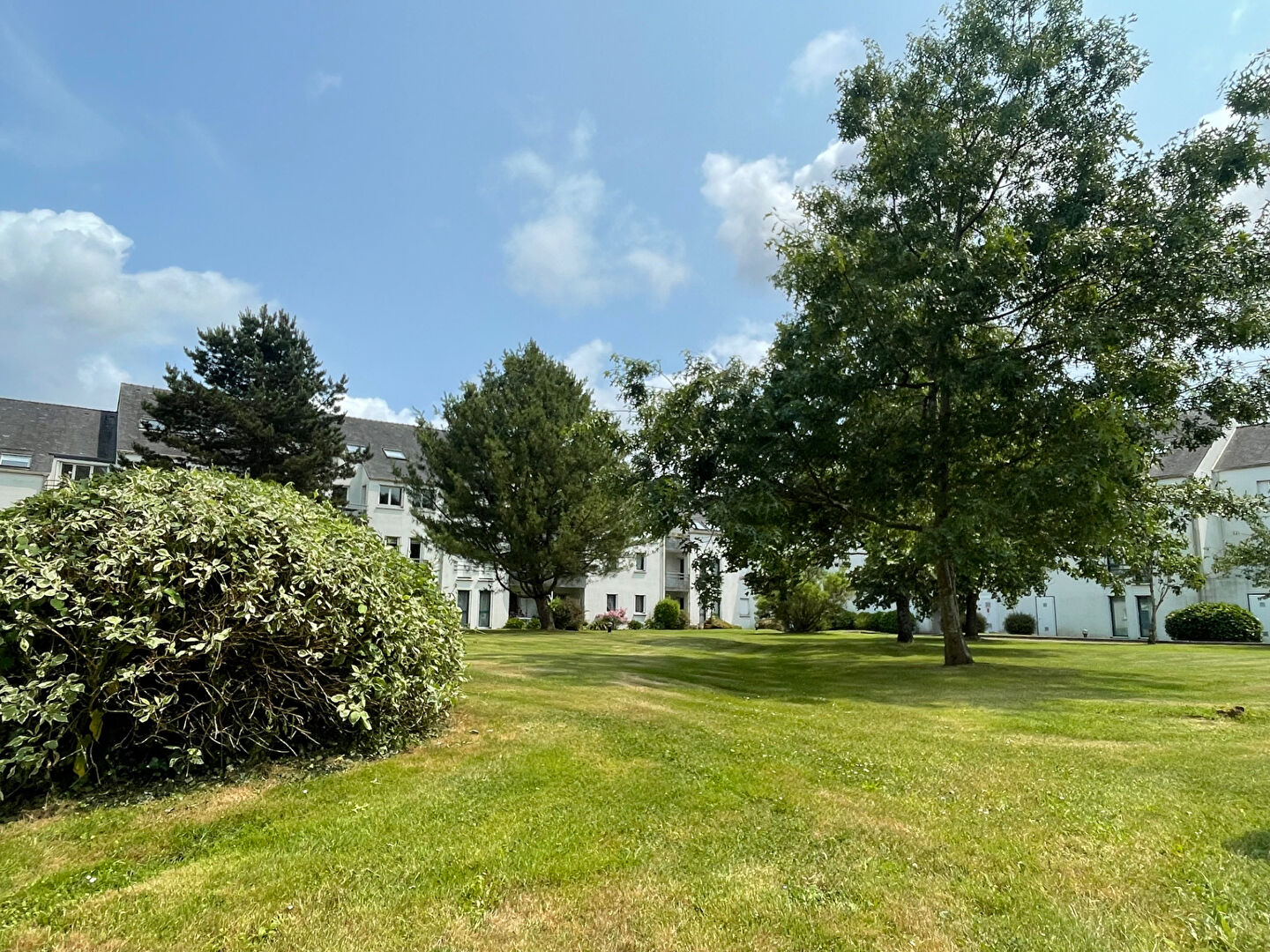 Agence immobilière de Griffon Gueguen Immobilier