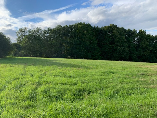 TERRAIN A BATIR - 28230  DROUE SUR DROUETTE - 825 m2