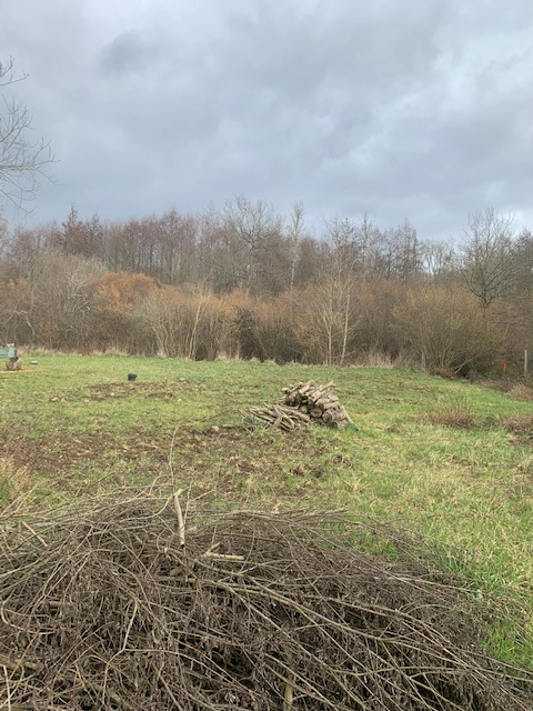 Photo GAZERAN PROCHE image 1/1