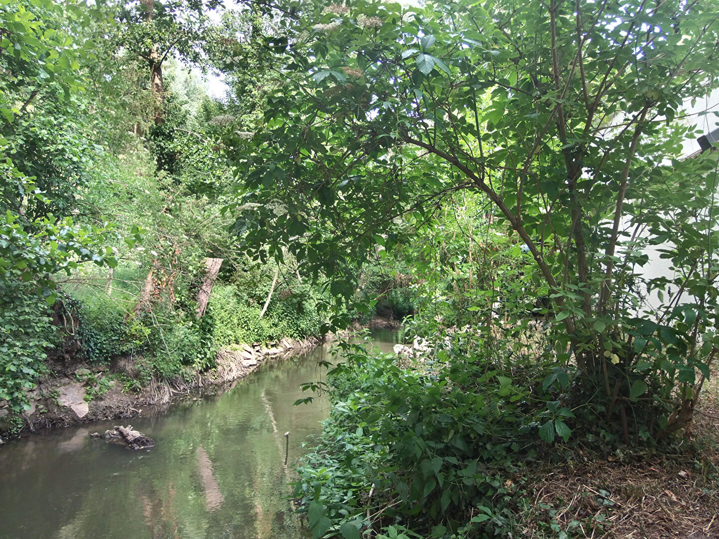 Photo MAINTENON Proche Charmante maison de plain -pied image 2/6