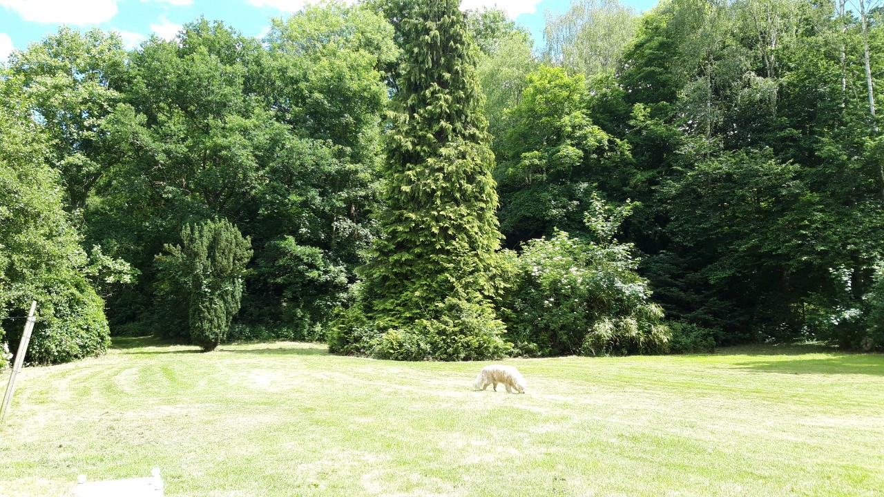 Photo MAINTENON Proche Charmante maison de plain -pied image 5/6