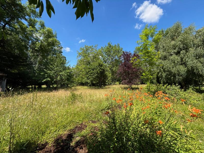 Photo PROCHE NOGENT LE ROI - MAISON ANCIENNE image 2/6