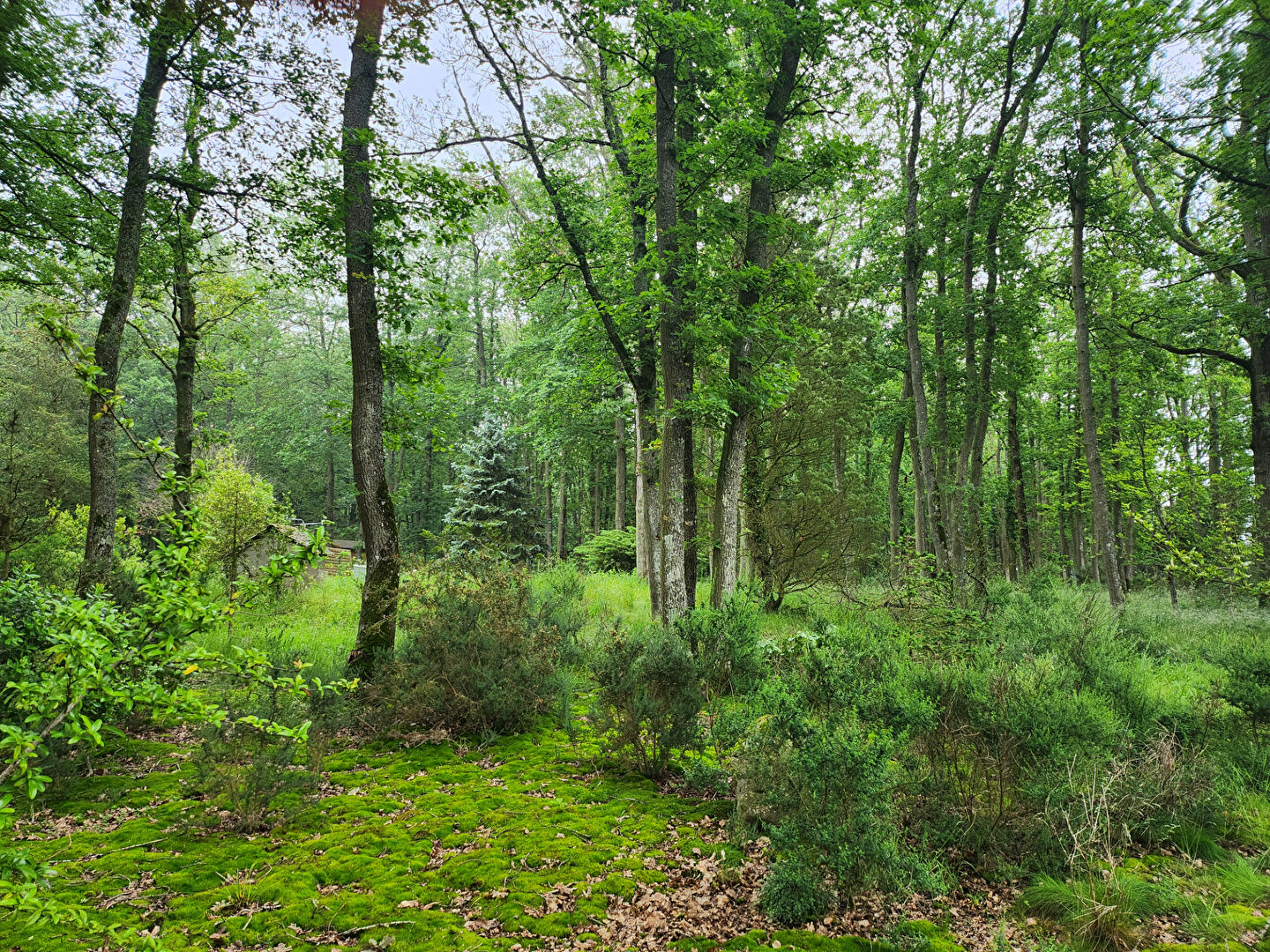 Agence immobilière de Hanches Immobilier - Hanches Immobilier