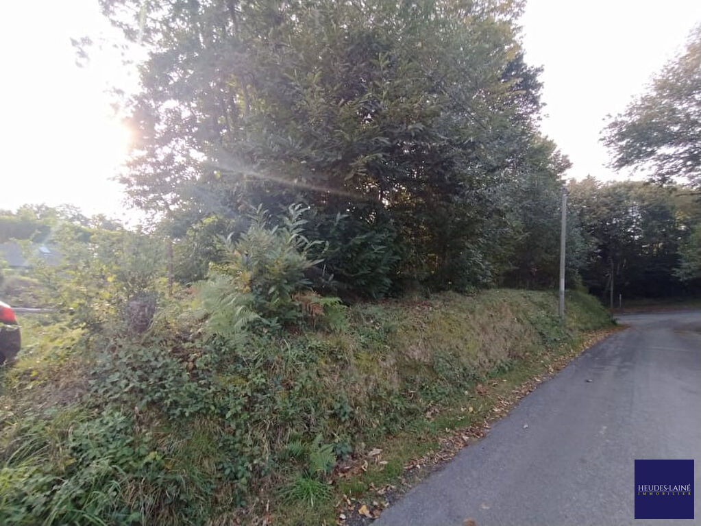 Photo Terrain Grandparigny 950 m2 image 2/4