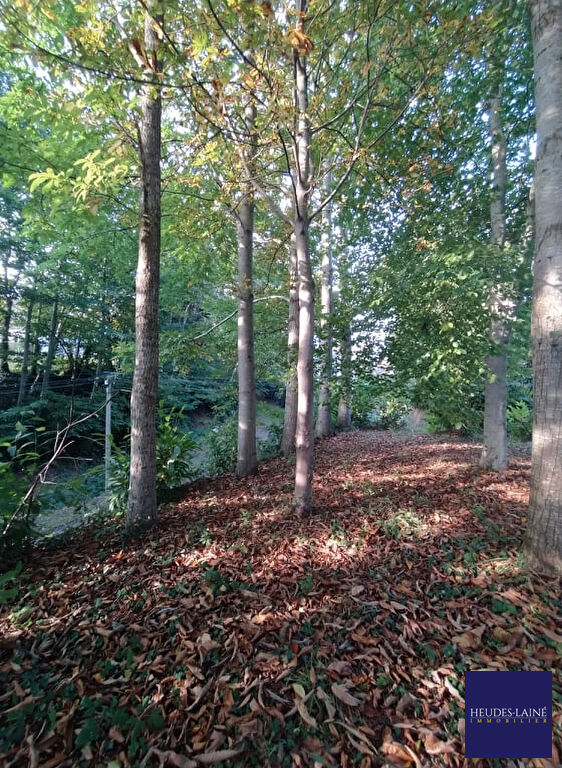 Photo Terrain Grandparigny 950 m2 image 4/4