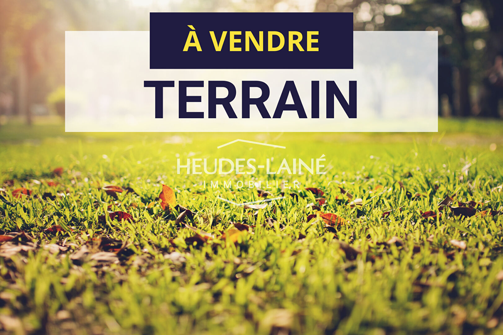 Agence immobilière de Heudes-Laine Immobilier - HEUDES-LAINE IMMOBILIER-SAINT-JAMES