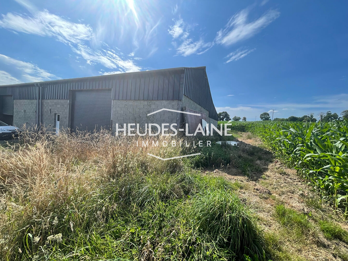 Photo A LOUER : LOLIF - Local Agricole image 3/5