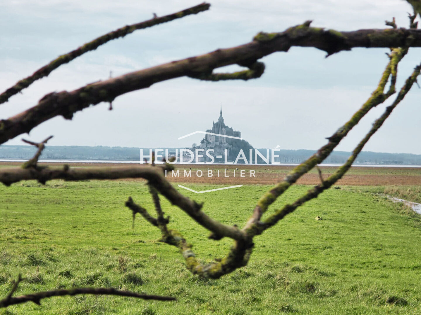 Agence immobilière de 
 Heudes-Laine Immobilier - HEUDES-LAINE IMMOBILIER 
