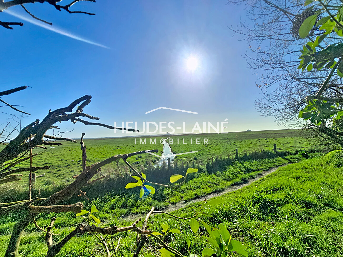 Agence immobilière de 
 Heudes-Laine Immobilier - HEUDES-LAINE IMMOBILIER 
