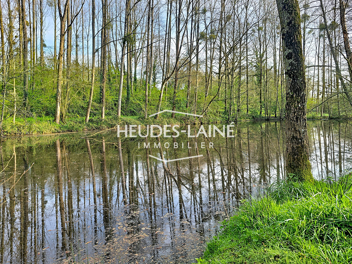 Agence immobilière de 
 Heudes-Laine Immobilier - HEUDES-LAINE IMMOBILIER 
