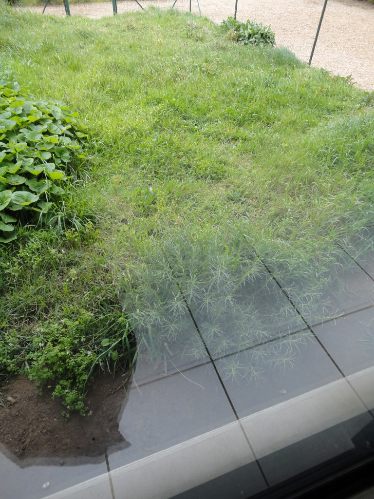 Photo BREST, Forestou, Appartement T3 avec jardin image 2/6