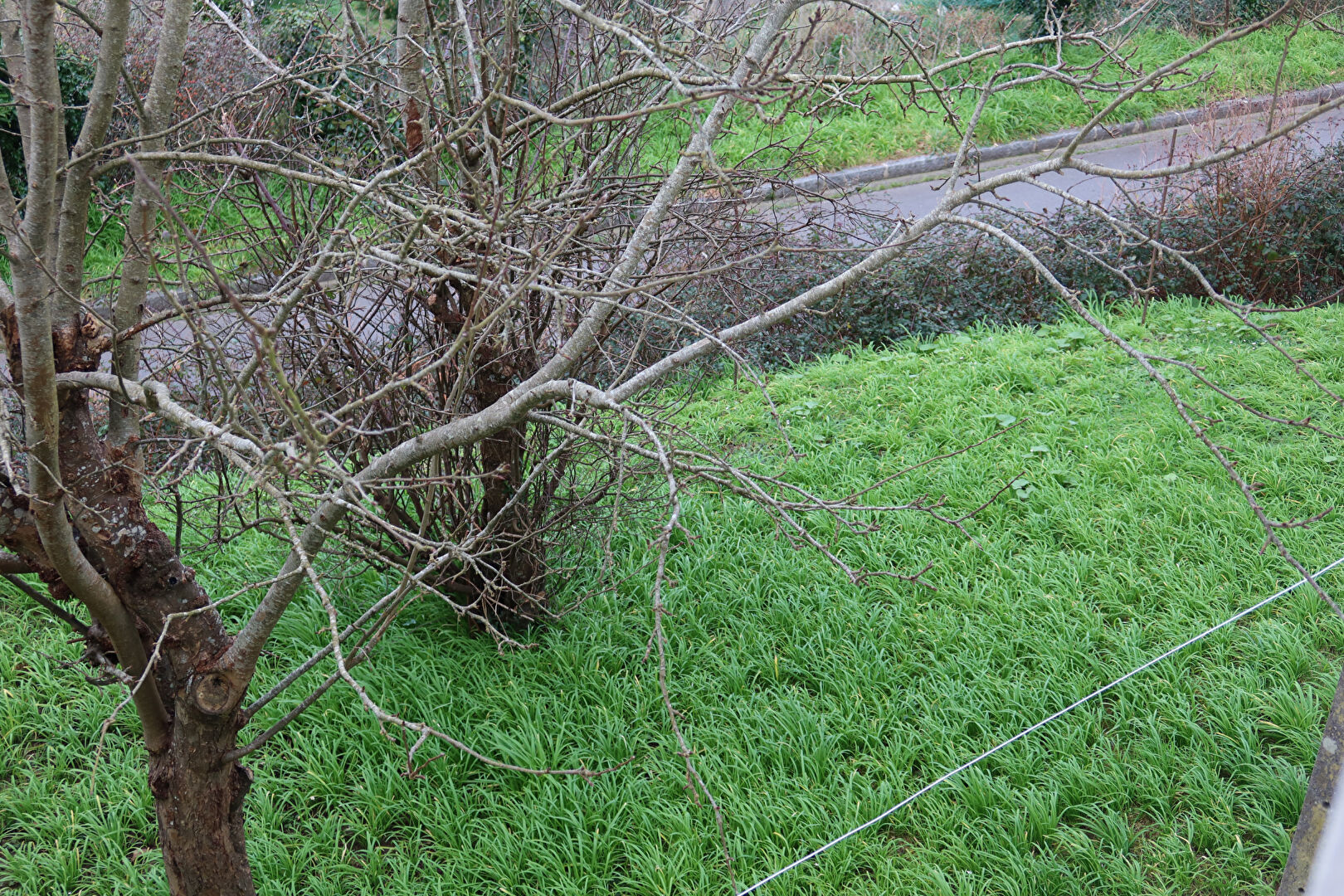 Photo Brest, Ecole Navale, maison 4 pièces image 2/2