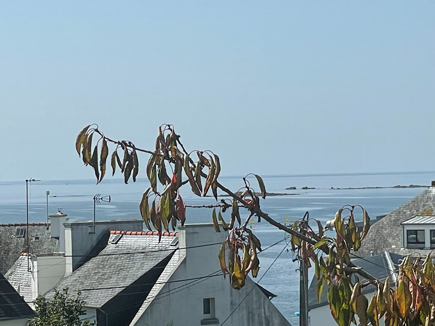 Photo CONCARNEAU, maison atypique des années 30 de 175 m² avec jardin garage et atelier image 2/6