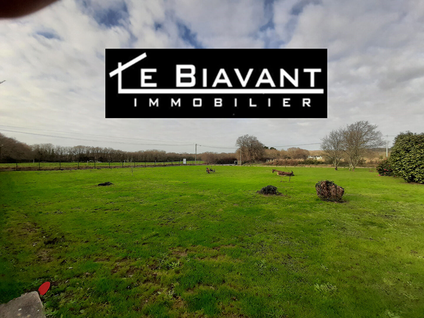 Agence immobilière de LE BIAVANT IMMOBILIER Trégunc