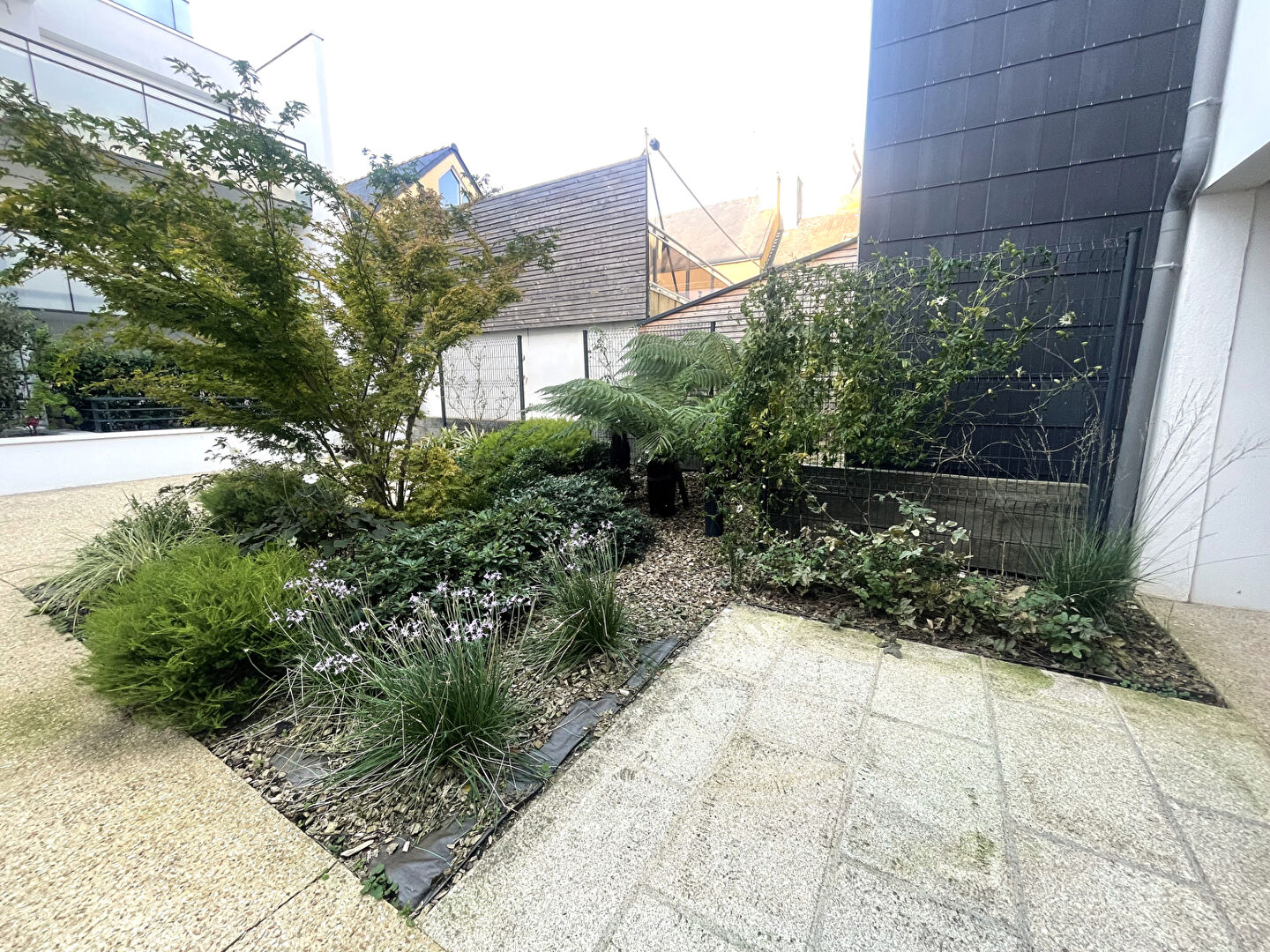 Photo Appartement  3 pièce(s) image 5/5