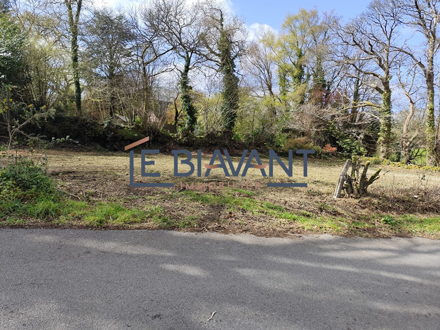 Agence immobilière de LE BIAVANT IMMOBILIER Rosporden