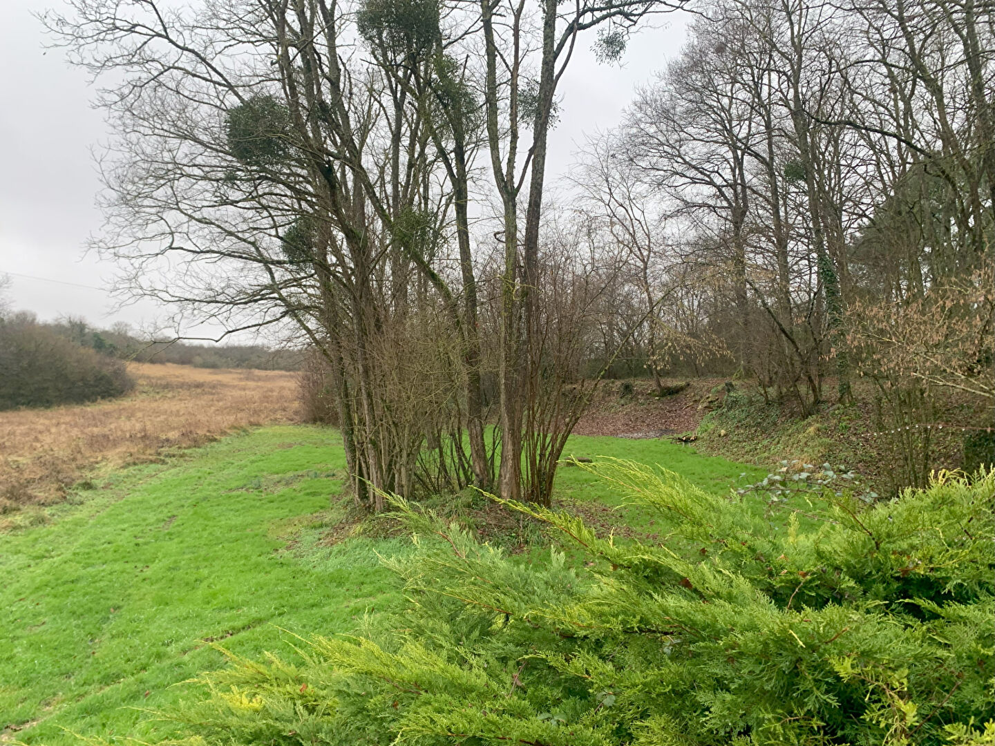 Agence immobilière de MGN Immobilier - MGN IMMOBILIER BONNEVAL