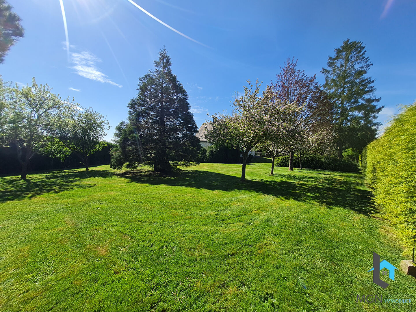 Photo A VENDRE PROPRIETE SUR LUIGNY image 3/6