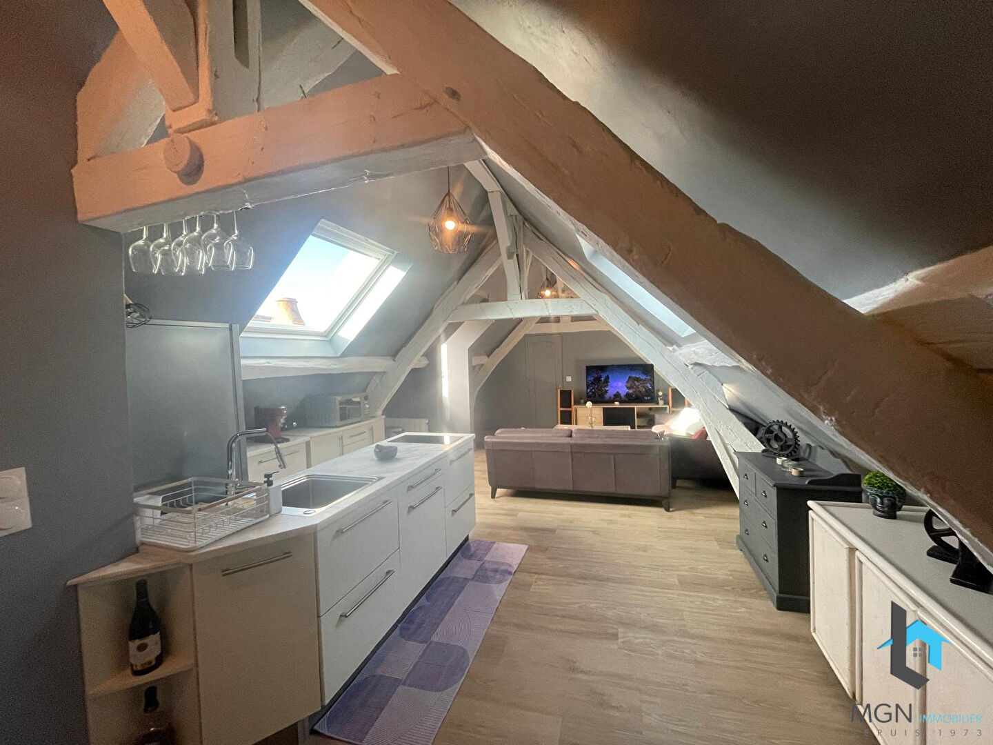 Agence immobilière de MGN IMMOBILIER NOGENT LE ROI