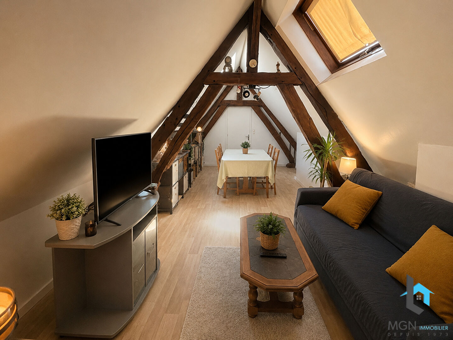 Agence immobilière de MGN IMMOBILIER NOGENT LE ROI
