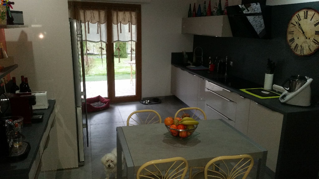 Photo Appartement Chavigny 3 pièce(s) 120 m2 et jardin image 3/6